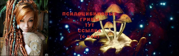 ГАЛЛЮЦИНОГЕННЫЕ ГРИБЫ Пересвет