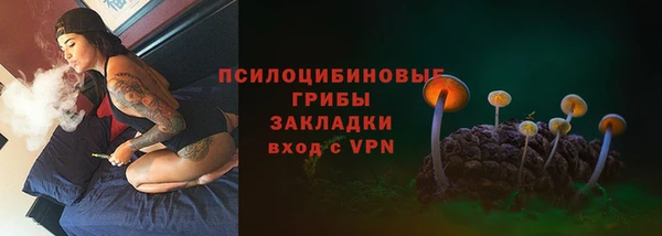 ГАЛЛЮЦИНОГЕННЫЕ ГРИБЫ Пересвет