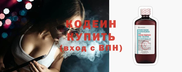 ГАЛЛЮЦИНОГЕННЫЕ ГРИБЫ Пересвет