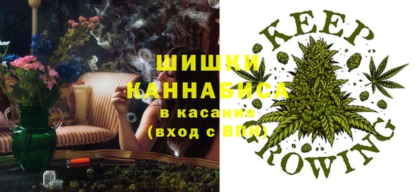 ГАЛЛЮЦИНОГЕННЫЕ ГРИБЫ Пересвет