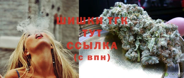 мет Пестово