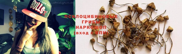 мет Пестово